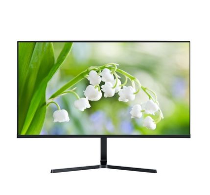 QHD Flat Screen Gaming Monitor 165hz 24 pollici con HDR Freesync Display Port