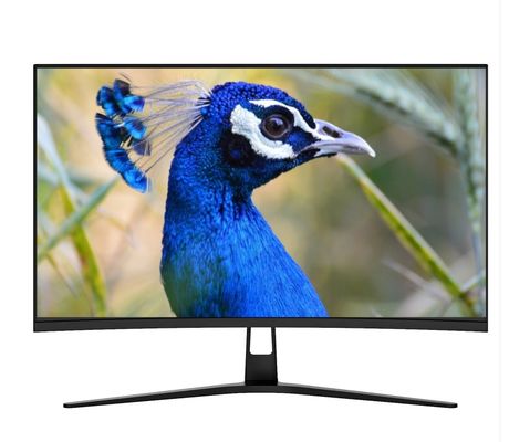 HDR 32 Inch DSC Gaming Monitor QHD 2540x1440 75Hz Extreme Low Motion Blur Syn