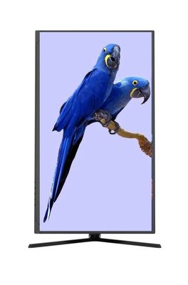 32 pulgadas 2K HDR monitor de juego 180Hz con panel IPS con doble entrada HDMI