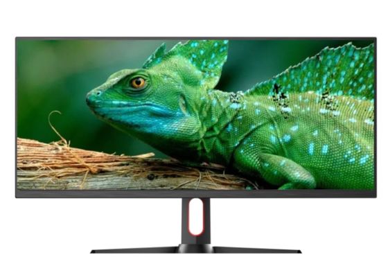 IPS Grafica Computer Monitor 100Hz 34 Inch Gaming Monitor 5ms Con hub USB