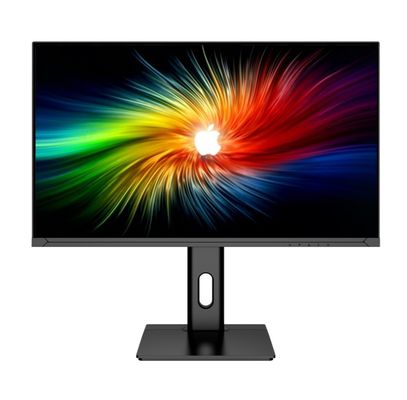 25Inch  Gaming Computer Monitor With 165Hz Refresh Rate VESA Mountable And 2560 X 1440 Resolution